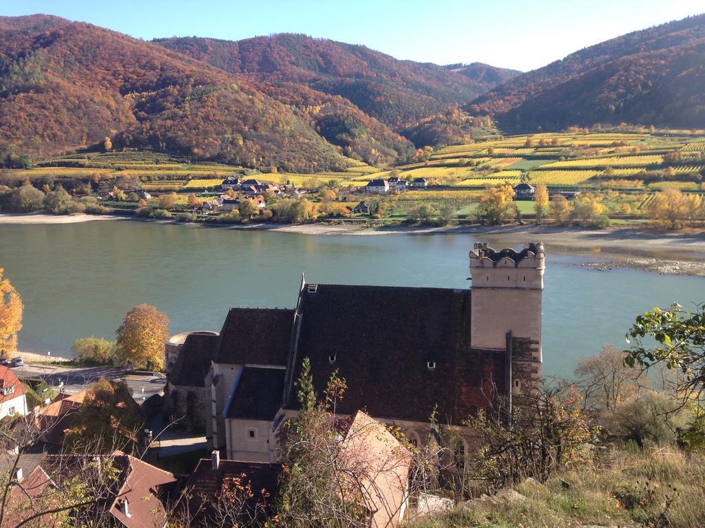 Apartement Schlaf Gut - Mitten In Der Wachau ويسنكرخن ان دي الغرفة الصورة