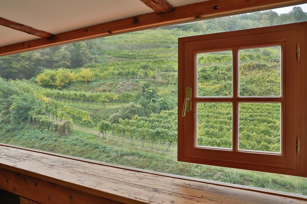 Apartement Schlaf Gut - Mitten In Der Wachau ويسنكرخن ان دي الغرفة الصورة